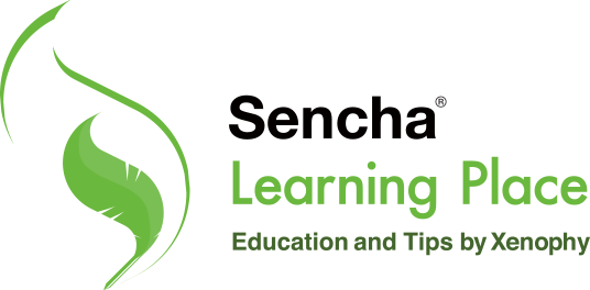 Sencha Learning Place